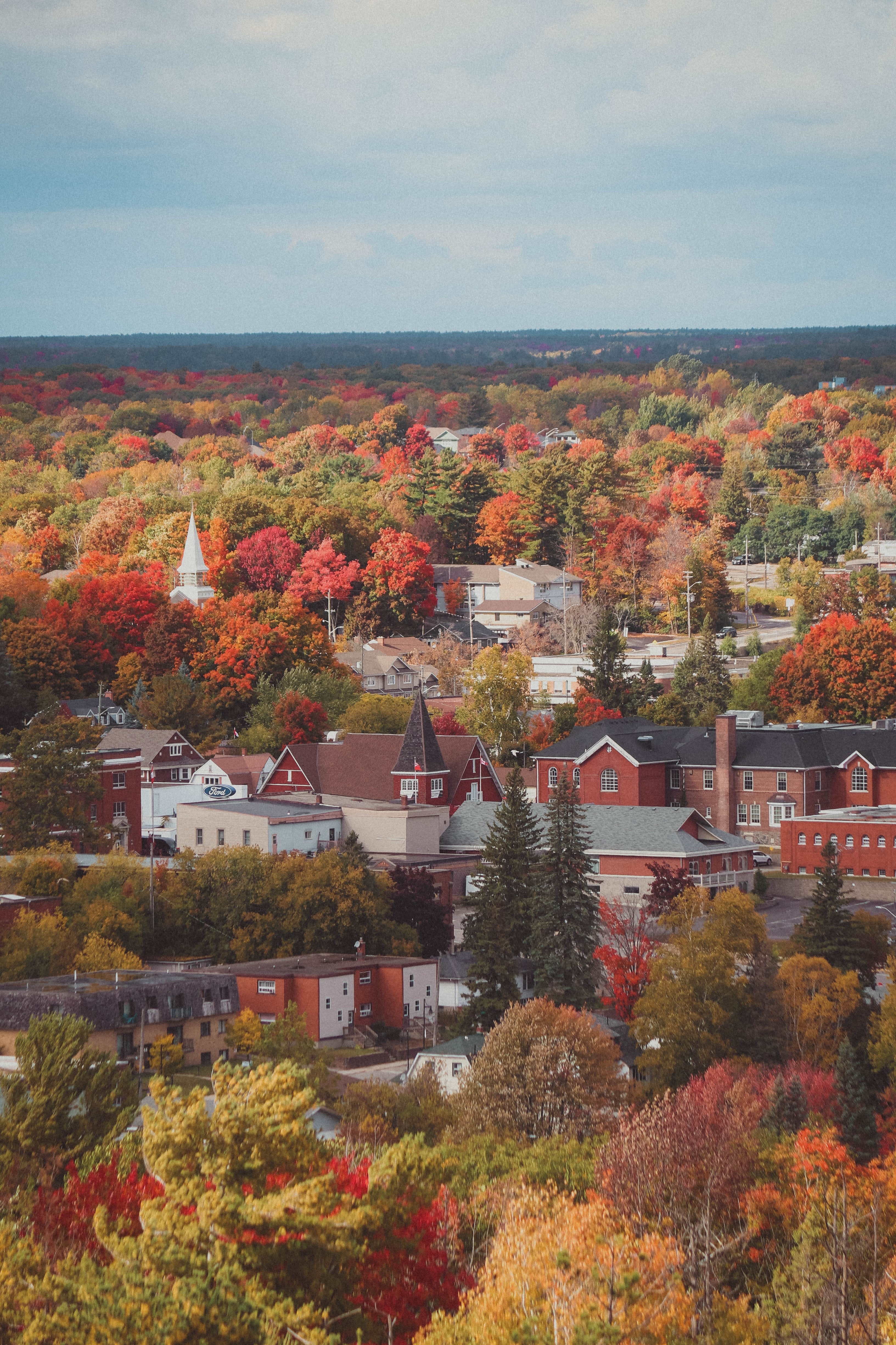 What Is Population Health Management?